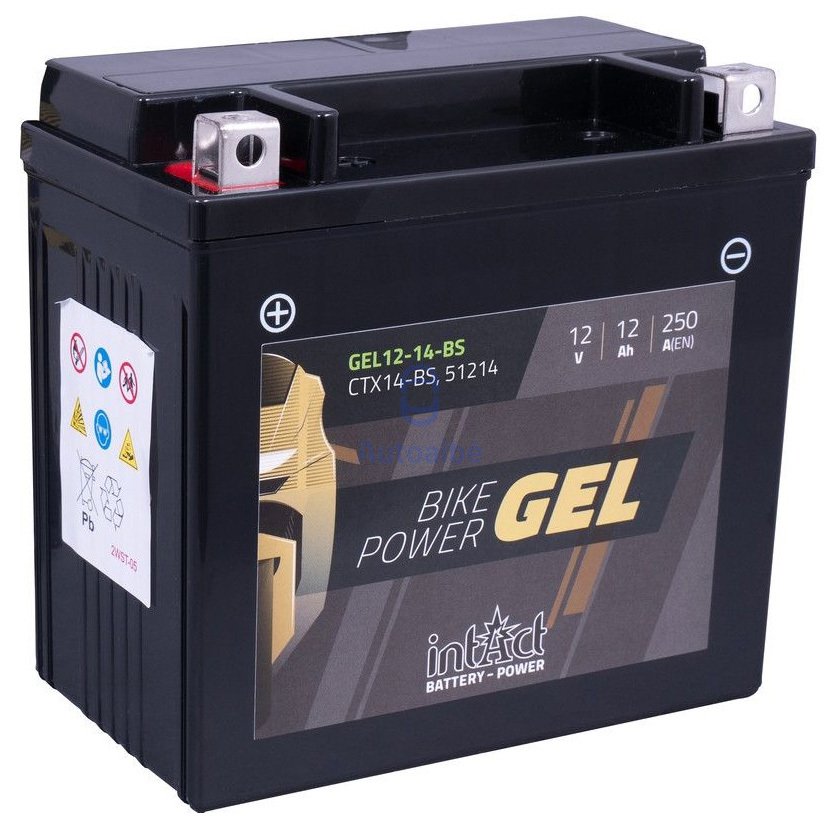 メンテナンス eikouai Intact CTX14-BS GEL moto akumuliatorius 12V 12Ah 250A 150x87x147mm